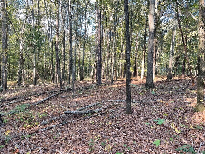 More Photos Of 44 County Line-Auburn Road, Auburn Land For Sale