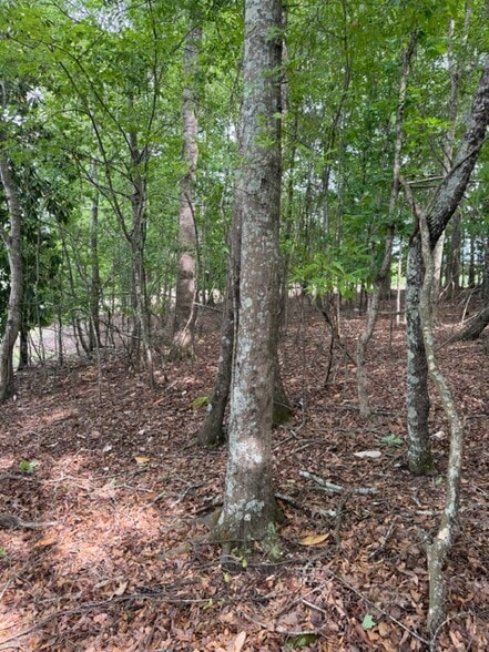 More Photos Of 357 Linwood dr, Gainesville Land For Sale