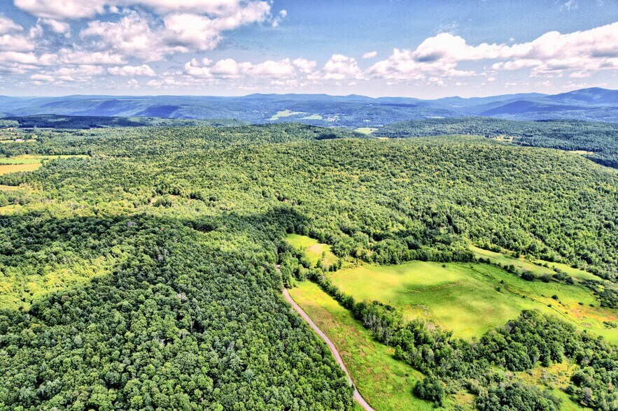 More Photos Of 36422 State Highway 23, Grand Gorge Restaurant For Sale