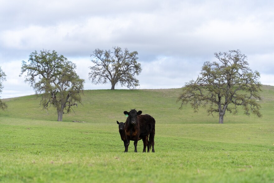 More Photos Of 76525 Interlake Rd, Bradley Land For Sale