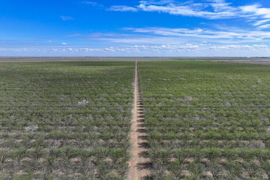 More Photos Of Cerini Avenue, Cantua Creek Land For Sale