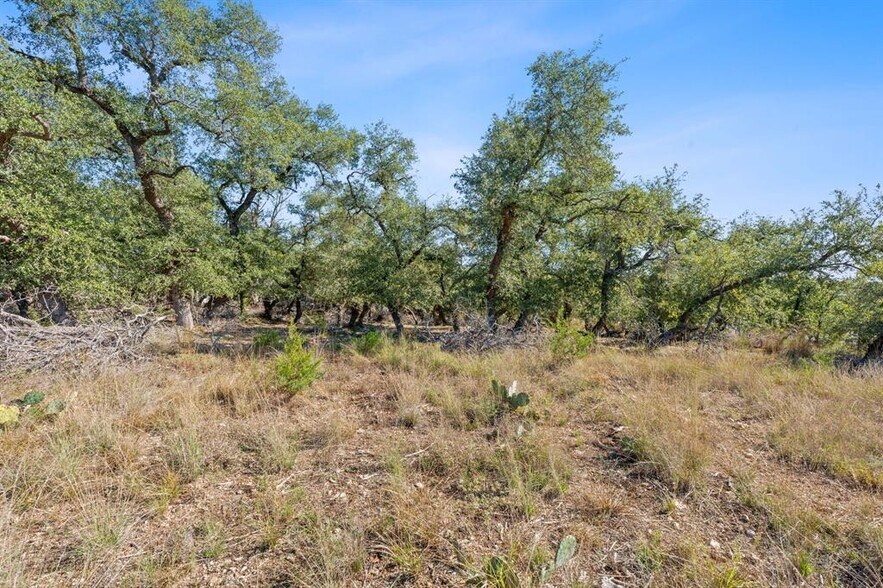 More Photos Of 3981 & 3983 U.S. 290, Dripping Springs Land For Sale