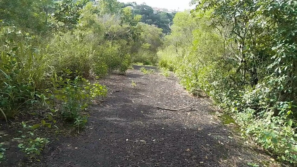 More Photos Of 99-1757 Welelau, Aiea Land For Sale