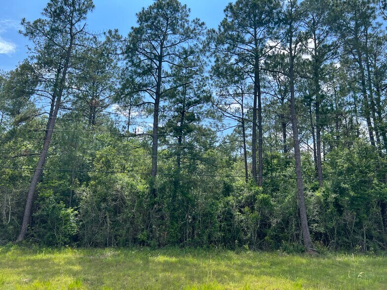 More Photos Of 0 Hwy 63, Moss Point Land For Sale