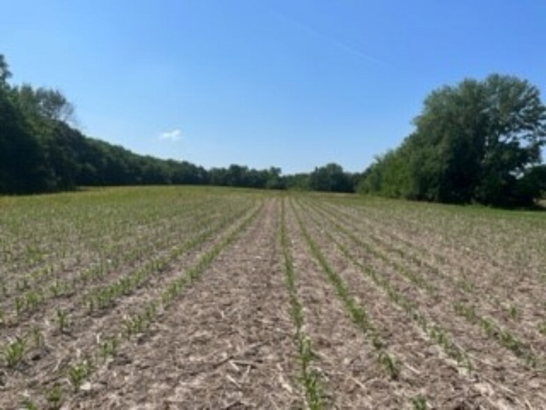 More Photos Of 6314 W Fauber Rd, Peoria Land For Sale