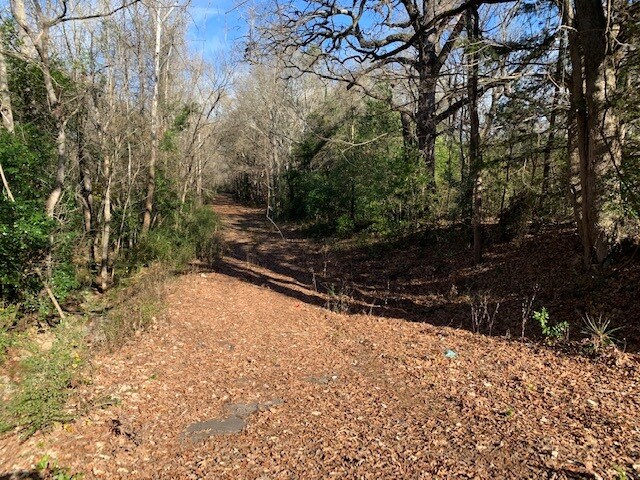 More Photos Of 155 N State Highway 155, Palestine Land For Sale