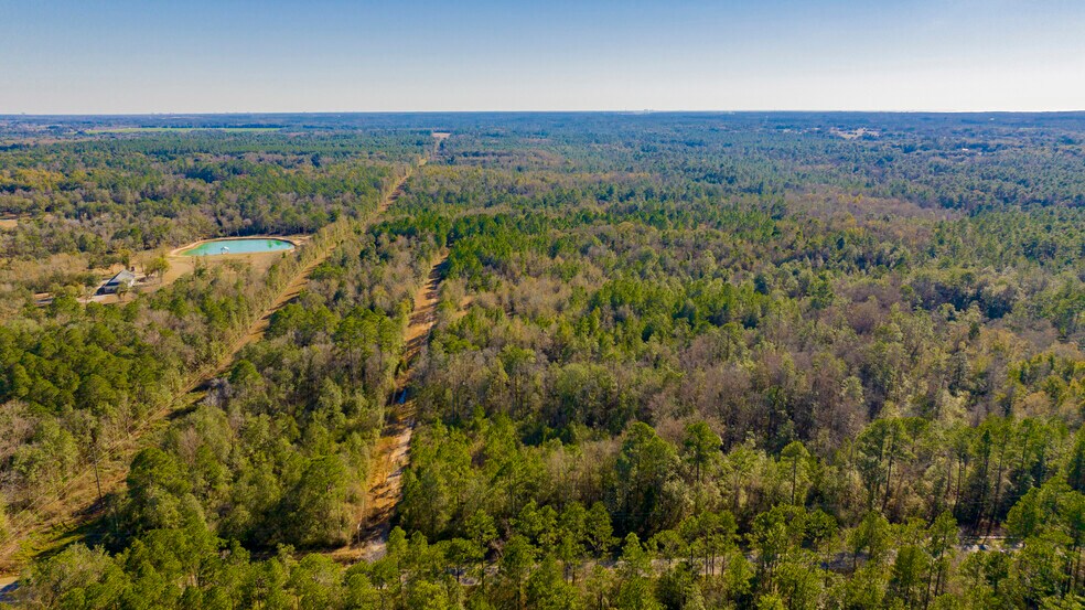 More Photos Of 12960 County Road 48, Silverhill Land For Sale
