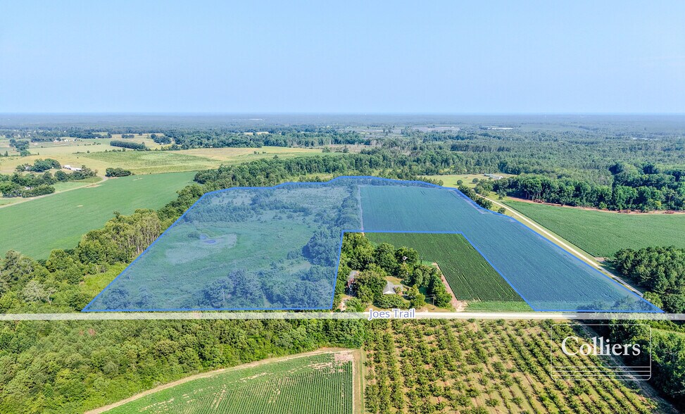 Primary Photo Of Joes Trail, Monetta Land For Sale
