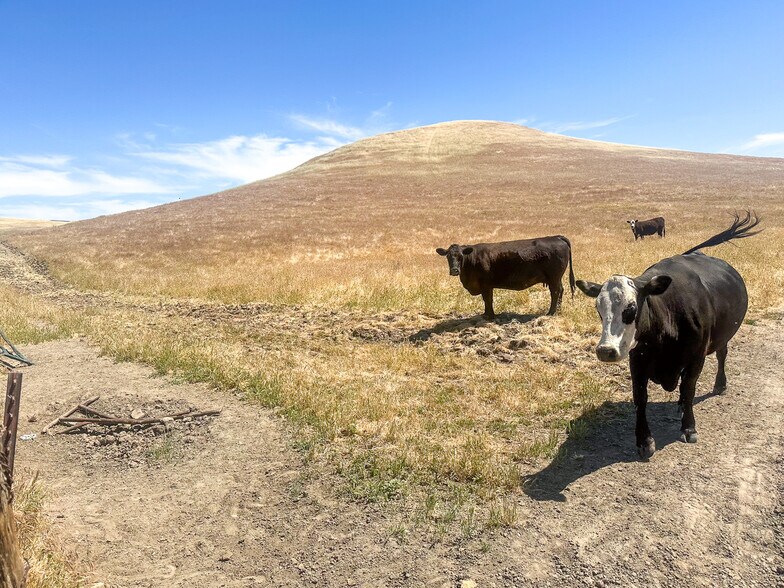 Primary Photo Of 320.00 +/- Acres of Grazing Land, Mc Farland Land For Sale