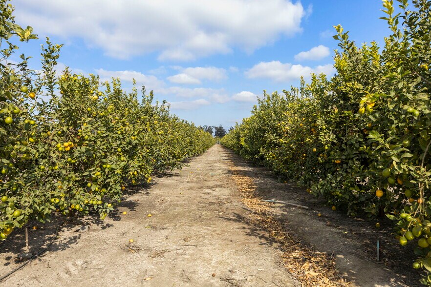 More Photos Of 0 Laguna Rd., Oxnard Land For Sale