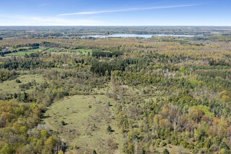 Primary Photo Of 9414 First Line Nassagaweya, Milton Land For Sale