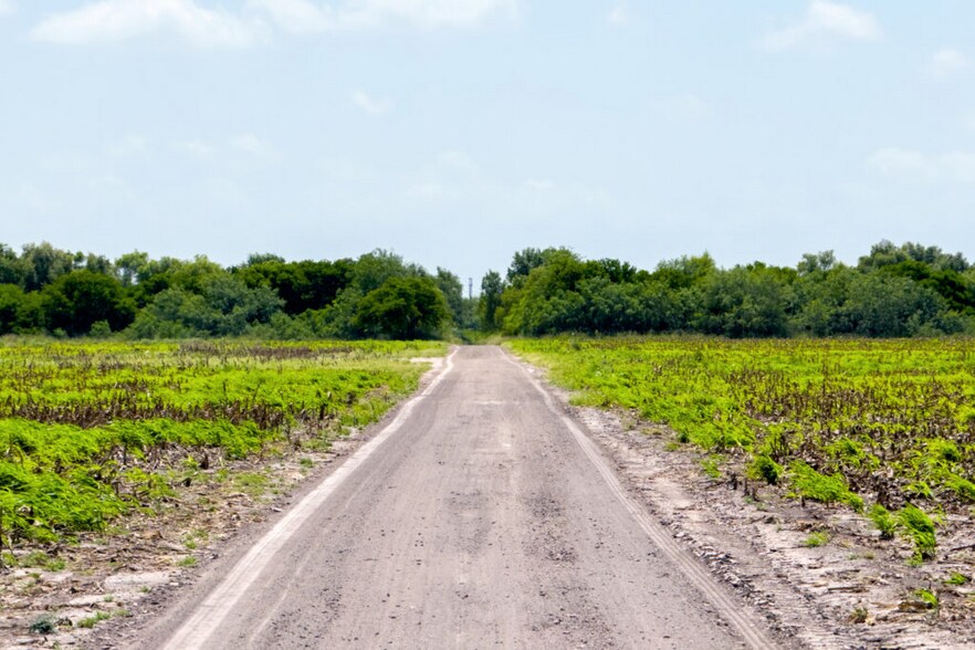 More Photos Of FM 1421 Rd, Brownsville Land For Sale