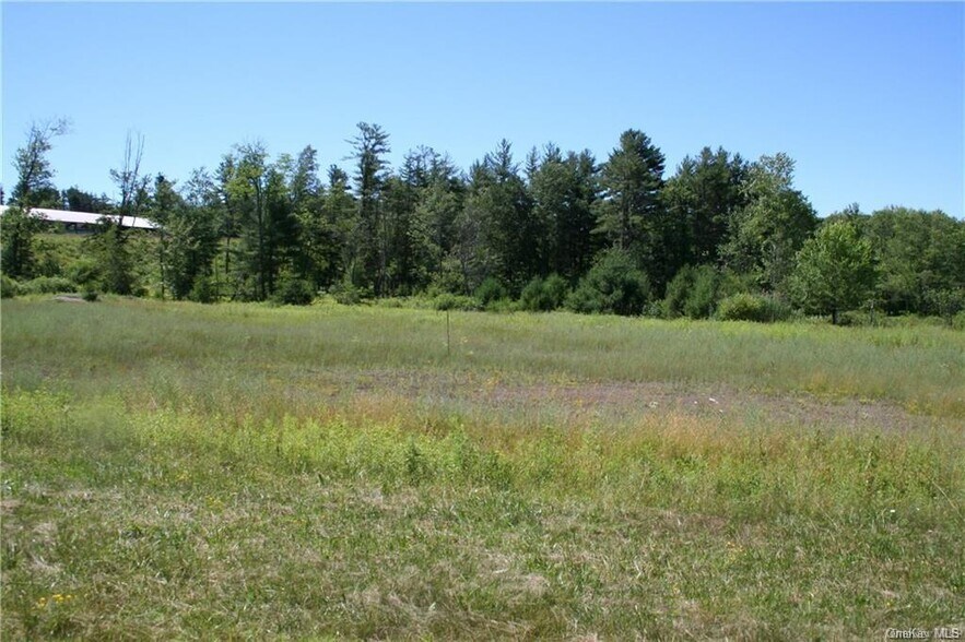 More Photos Of 14.6 Acres 17B rt, Monticello Land For Sale