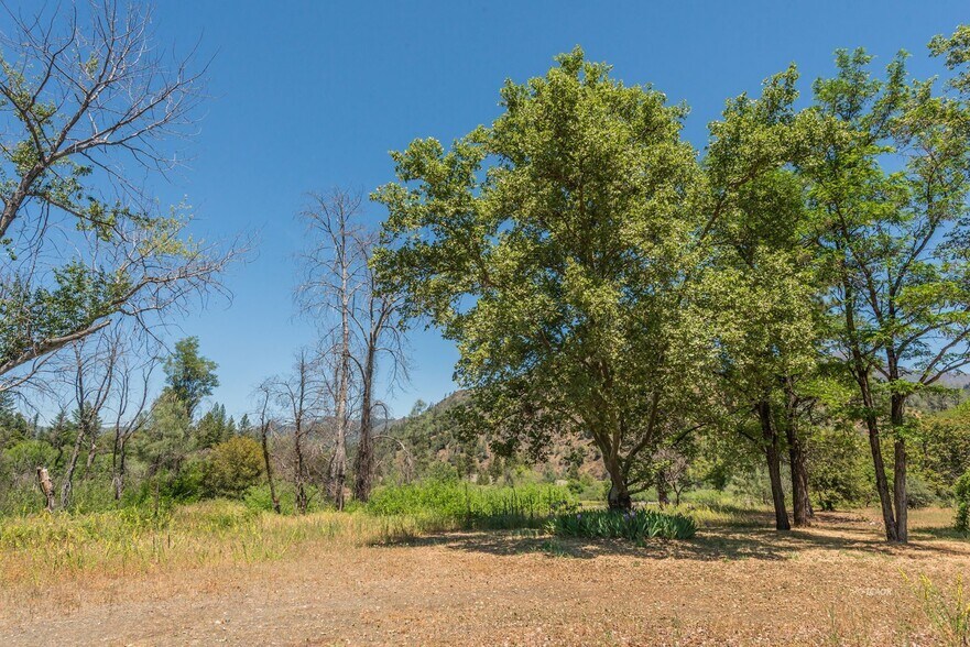 More Photos Of 200 Dutch Creek Rd, Junction City Land For Sale