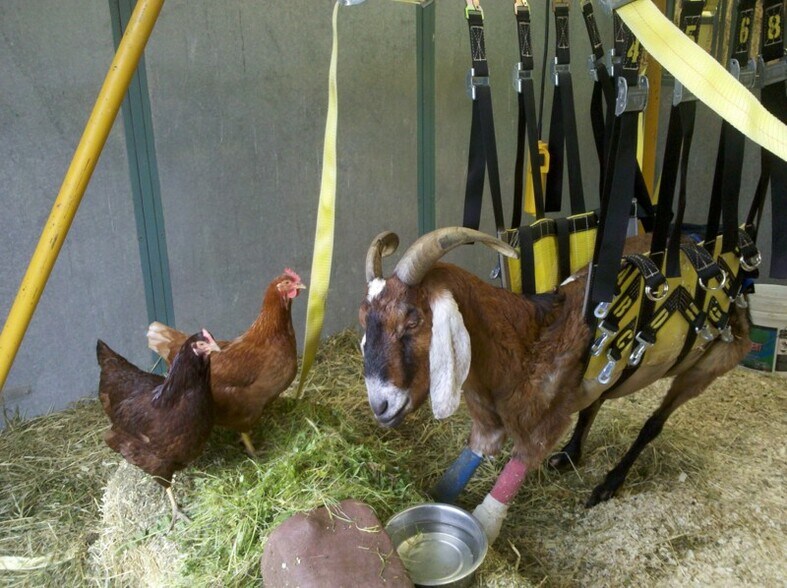 More Photos Of 3500 Pleasants Trl, Vacaville Land For Sale