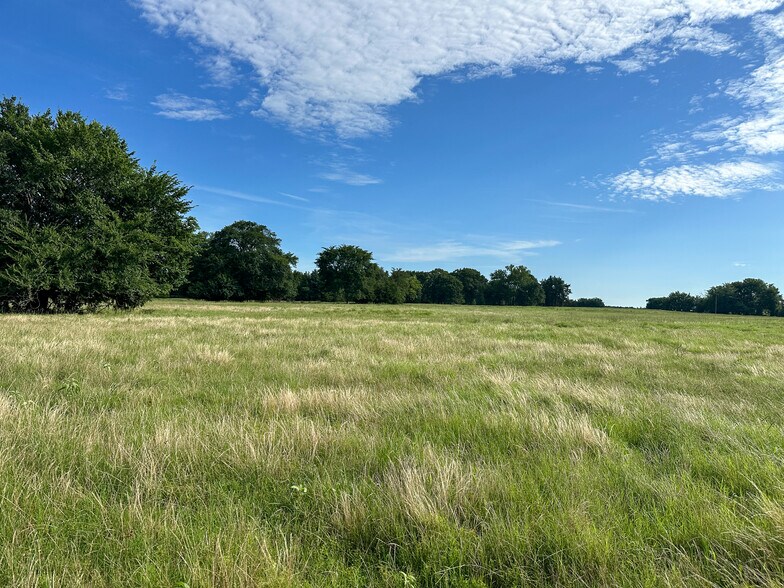 More Photos Of Intersection of FM 2029 and FM 409, Telephone Land For Sale