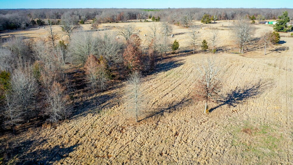 More Photos Of 1200 County 1255 rd, Detroit Land For Sale