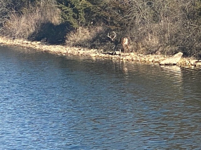 More Photos Of 00000 McLouth Rd., Tonganoxie Land For Sale