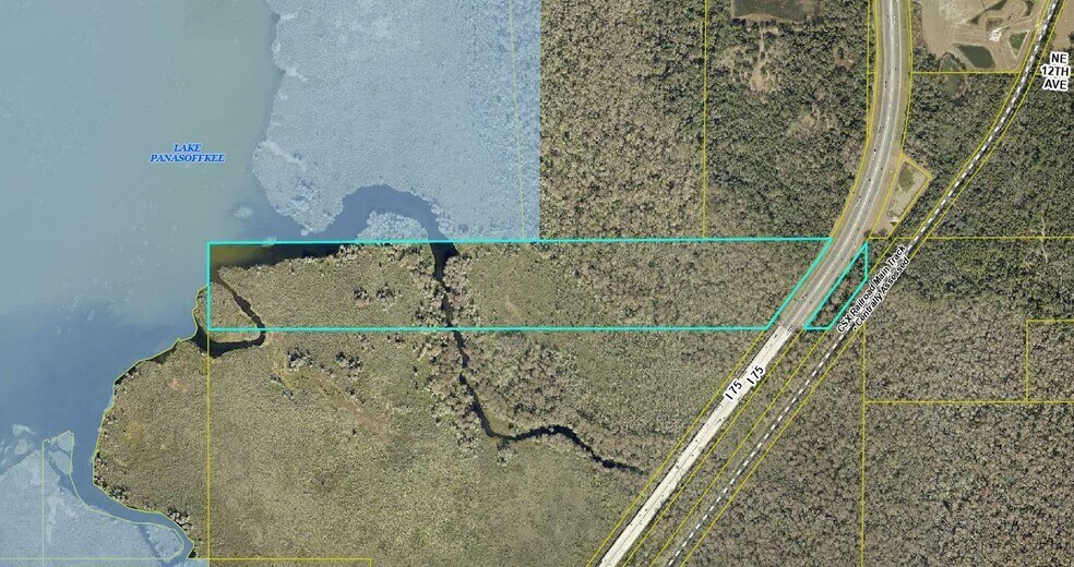 Primary Photo Of Lake Panasoffkee, Lake Panasoffkee Land For Sale