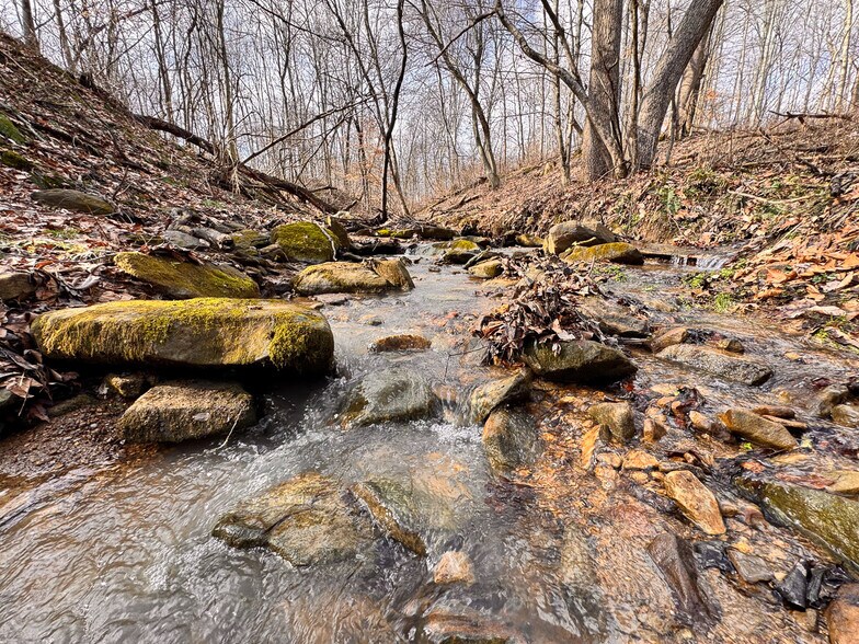 More Photos Of 15 GLECOE Rd, Dellroy Land For Sale