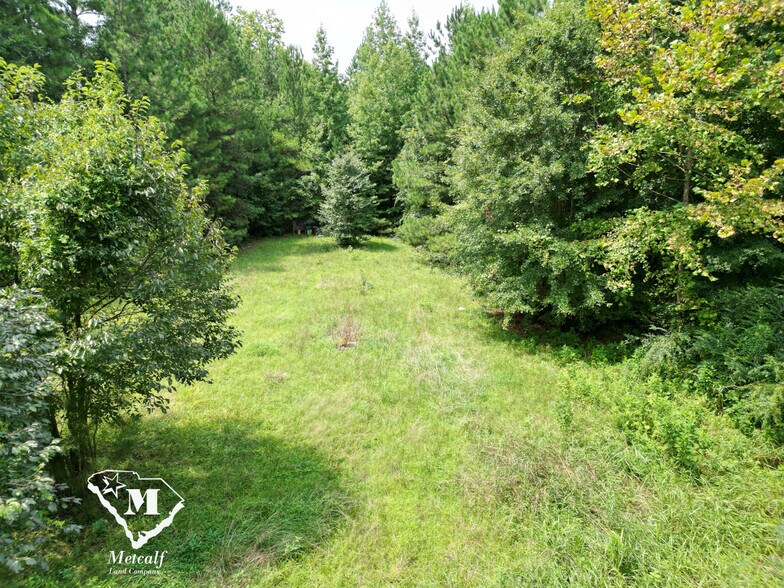 More Photos Of 6470 Whitmire Hwy, Whitmire Land For Sale