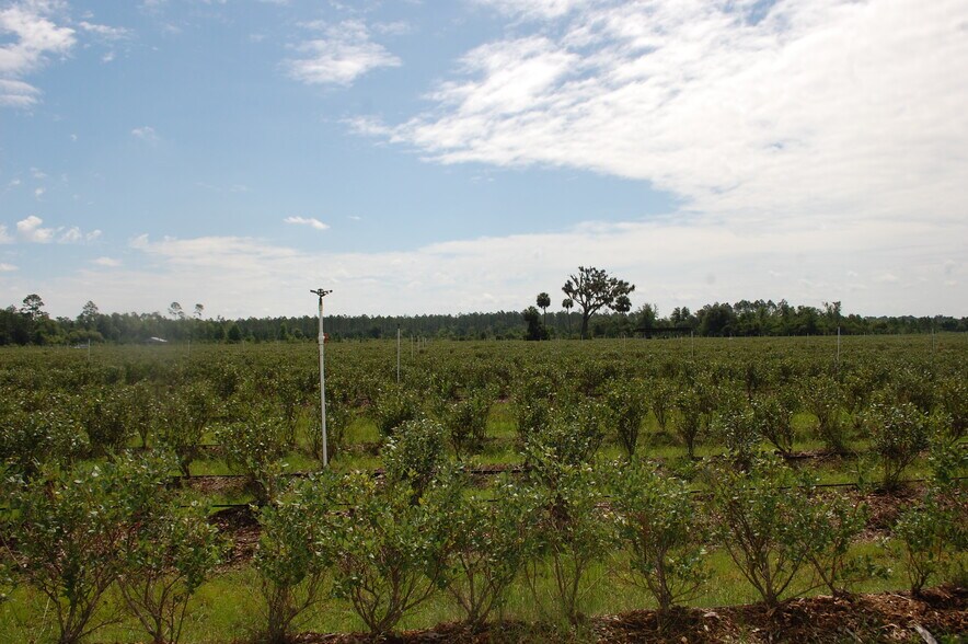 More Photos Of 18811 SE 243rd St, Hawthorne Specialty For Sale