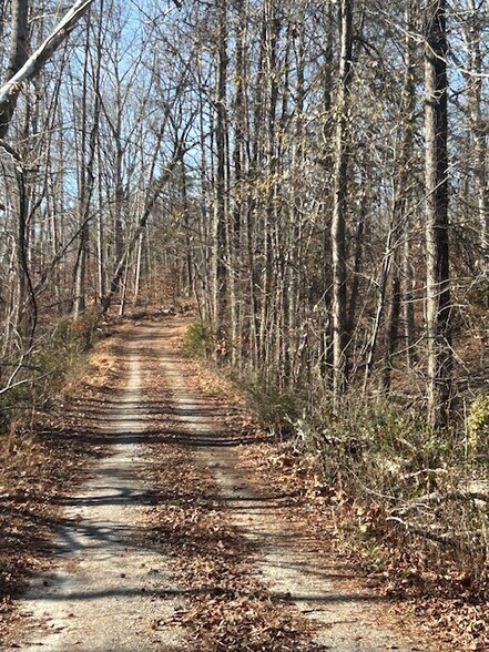 More Photos Of 609 N Fish Trap Rd, Easley Land For Sale