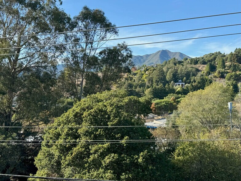 More Photos Of 17 Roque Moraes Ct, Mill Valley Apartments For Sale