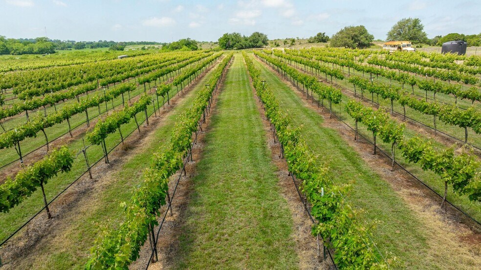 More Photos Of 675 County Road 497, Dublin Winery Vineyard For Sale