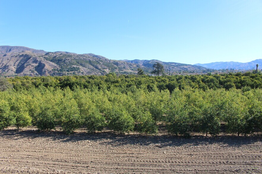 More Photos Of 1100 Cliff Ave, Fillmore Land For Sale