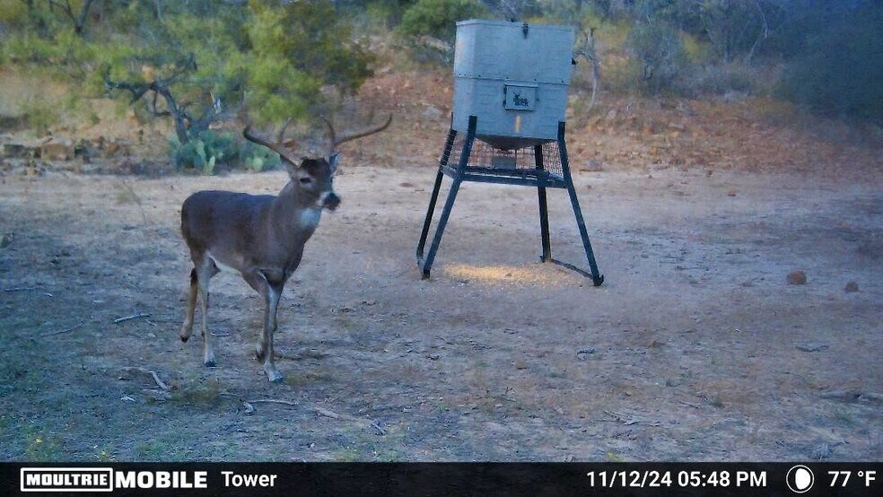 More Photos Of FM 574, Goldthwaite Land For Sale