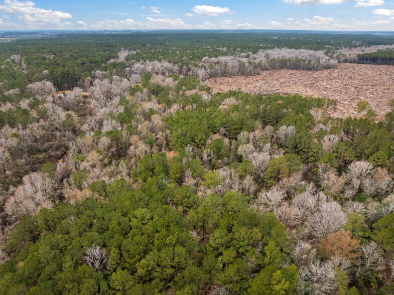 More Photos Of TBD 25 acres Tatoo Road, Glenmora Land For Sale