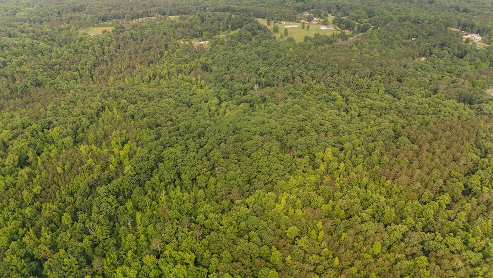 More Photos Of 0 Theodore Cox Cir, Canton Land For Sale