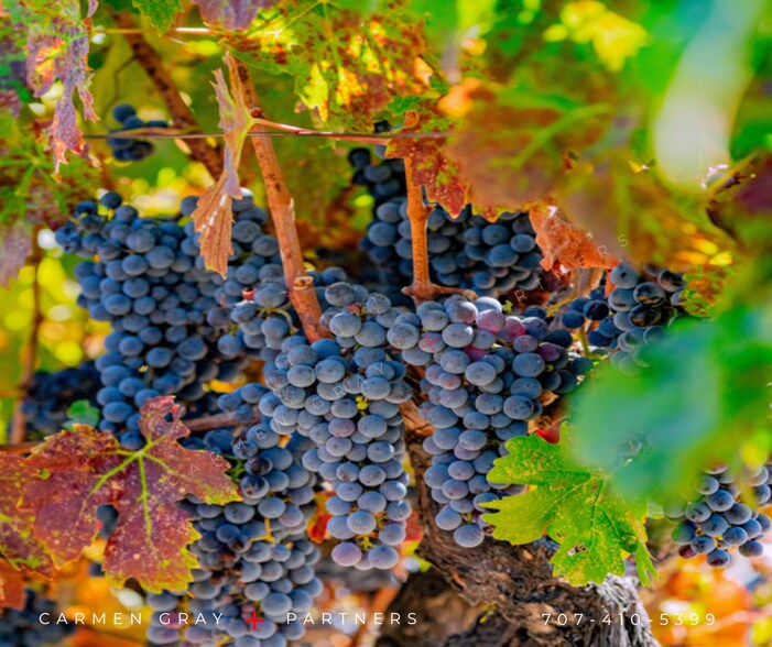 More Photos Of 0 Suisun Valley Road, Fairfield Land For Sale