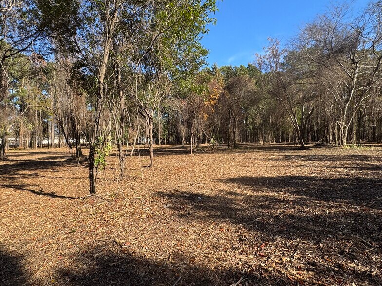 Primary Photo Of 1183 NC-177, Hamlet Land For Sale