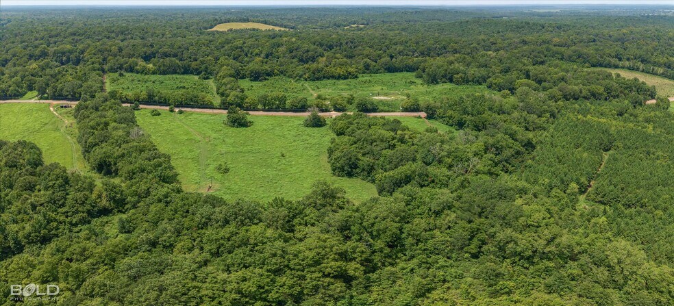 More Photos Of 11661 Gamm rd, Belcher Land For Sale