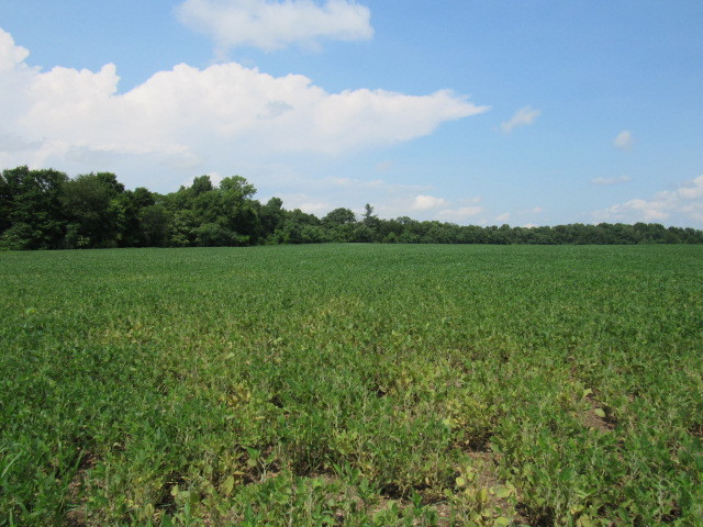 More Photos Of County Rt 19, Livingston Land For Sale