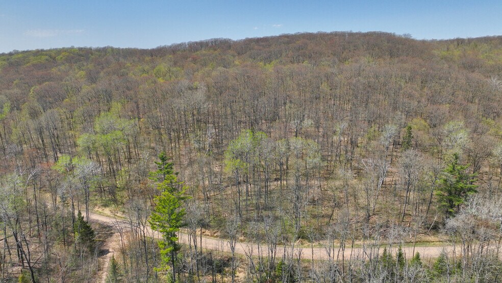 More Photos Of N Gueldner Lane, Exeland Land For Sale