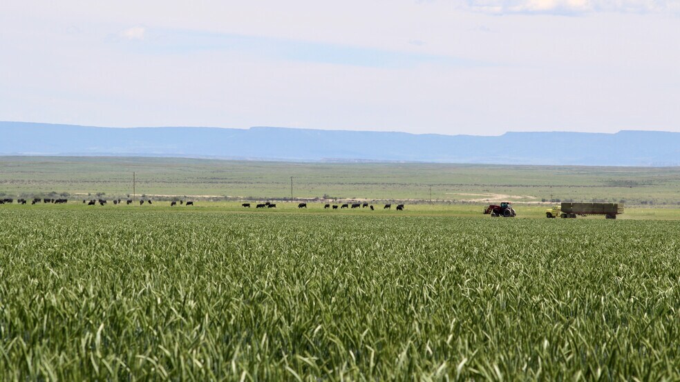 More Photos Of 48999 County Road 48, Model Land For Sale