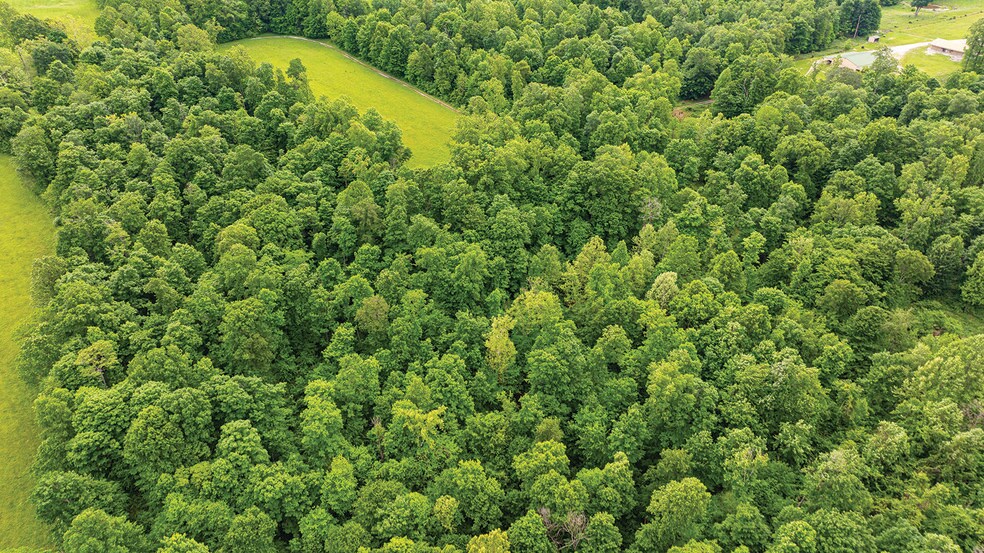More Photos Of 2475 W County Road 1050 S, Cloverdale Land For Sale
