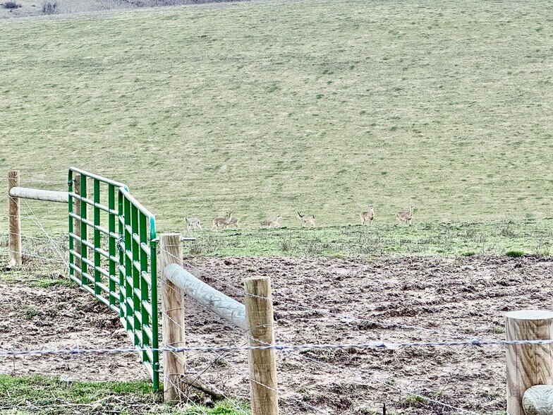 More Photos Of 68895 Lloydsville Bannock Rd, Belmont Land For Sale