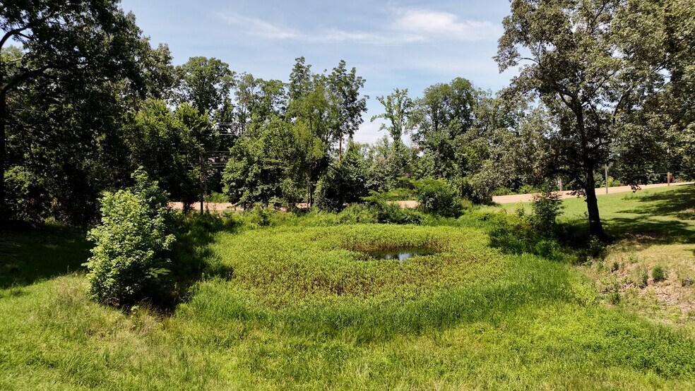 More Photos Of 8843 Highway 70, Arlington Land For Sale