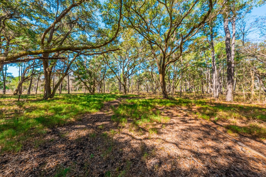 More Photos Of 0 King Rail Lane, Edisto Island Land For Sale