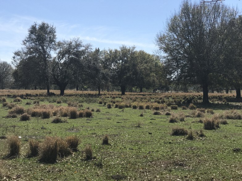 More Photos Of Combee Rd @ Old Combee Rd, Lakeland Land For Sale