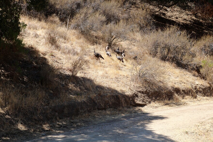 More Photos Of 32800 Johnson Canyon Rd, Gonzales Land For Sale