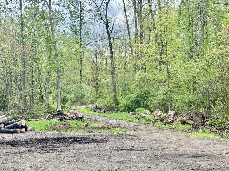 Primary Photo Of 1134 E Turkeyfoot Lake Rd, Akron Land For Sale