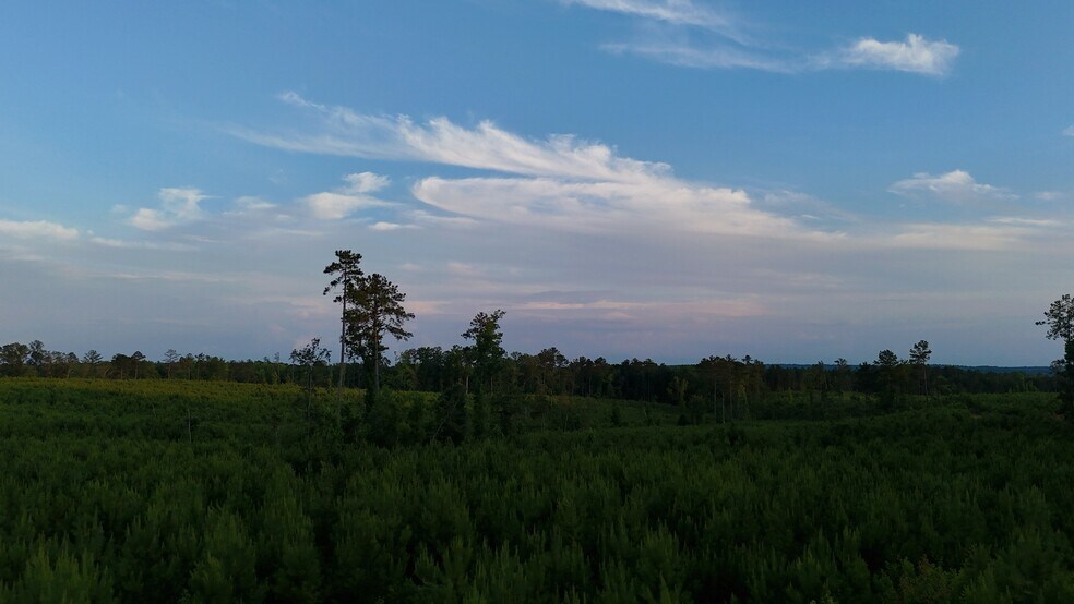 More Photos Of 00 Kennedy Rd, Winnsboro Land For Sale