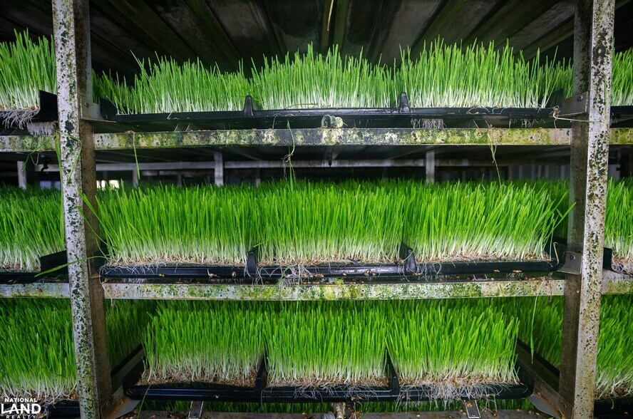 More Photos Of 178 Oak Creek Ln, Bland Land For Sale