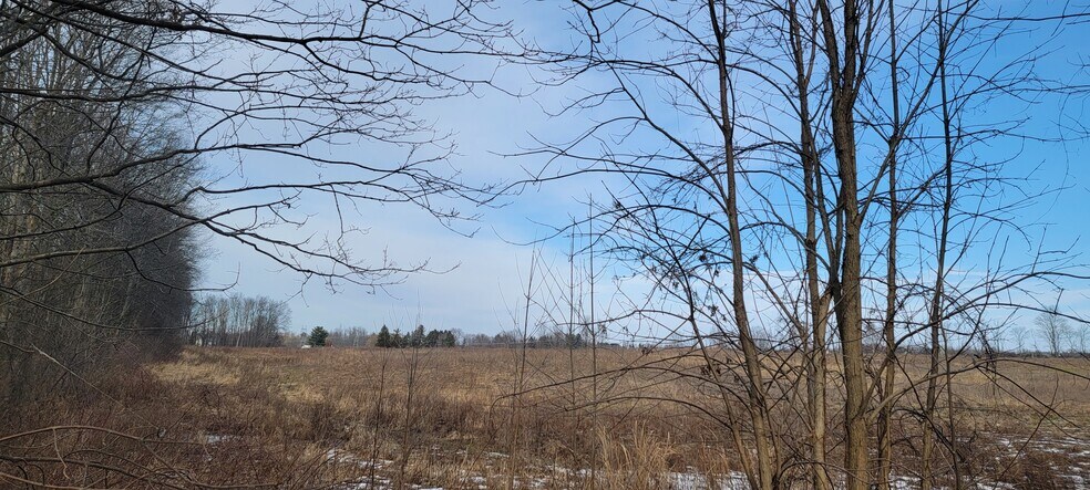 More Photos Of 6420 Lakeshore Rd, Cicero Land For Sale