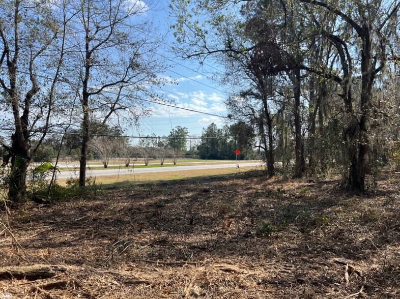 More Photos Of 3855 Darien Hwy, Brunswick Land For Sale